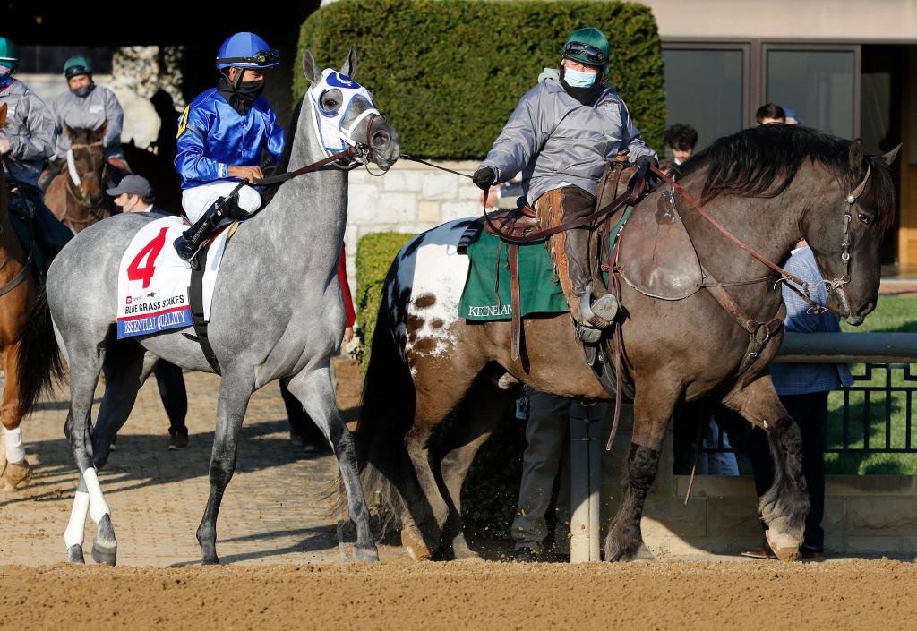 Harley and Essential Quality, showing their difference in size. (Eclipse Sportswire/Candice Chavez)